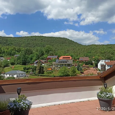 IMG_20200529_142824 (© Susanne Schlipp)