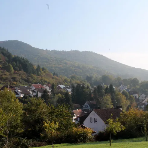 Eine malerische Landschaft mit sanften Hügeln und einem kleinen Dorf. Die Bäume und Häuser sind von leichtem Nebel umgeben, was eine ruhige Atmosphäre schafft.