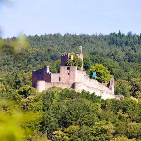 Burg Landeck (© Archiv TI Bad Bergzabern)