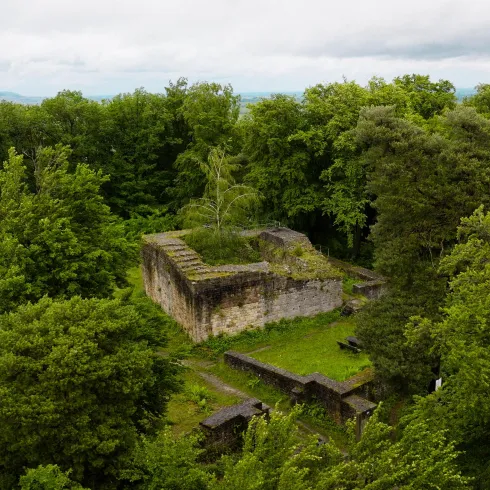 Eine alte Ruine, umgeben von dichtem grünem Wald. Der Himmel ist bewölkt und verleiht der Szene eine mystische Stimmung.
