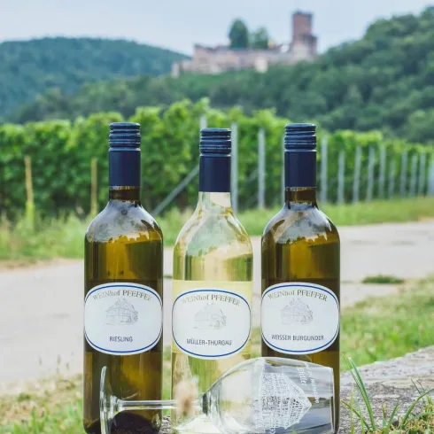 Weinflaschen (© Weinstube und Weinhof Pfeffer)