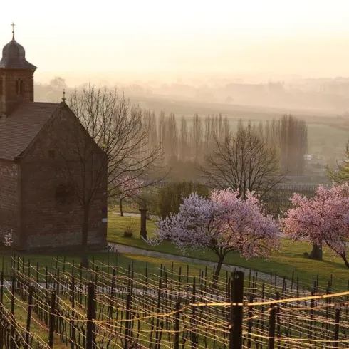 Kapelle (© Archiv TI Bad Bergzabern)