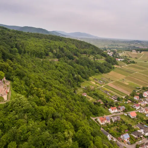 Eine alte Burg auf einem bewaldeten Hügel mit Weinbergen im Hintergrund. Im Vordergrund ist ein malerisches Dorf zu sehen.
