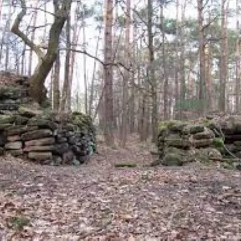 Ruine Heidenschuh (© Archiv TI Bad Bergzabern)