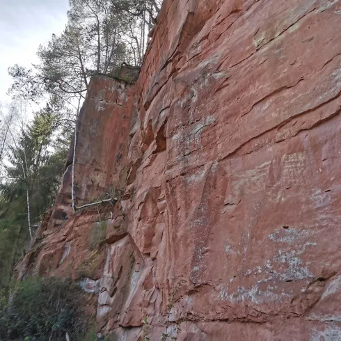 Ein steiler roter Felsen mit sichtbaren Schichten und Vegetation an der Spitze. Umgeben von Bäumen und einer natürlichen Landschaft.