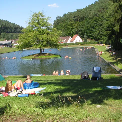 Eine ruhige Landschaft mit dem Badeweiher von Weidenthal und mehreren Schwimmern. Im Vordergrund entspannen Menschen auf der Wiese unter Sonnenschirmen.