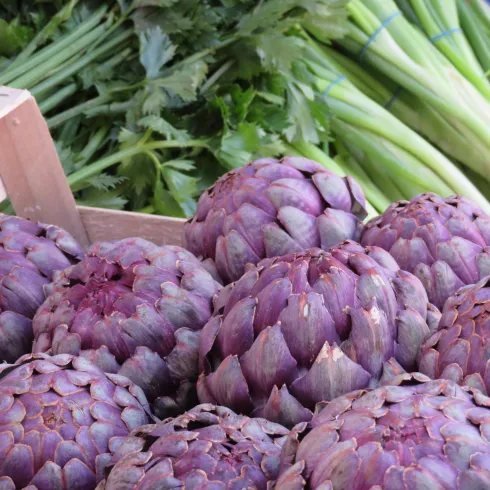 Artischocken