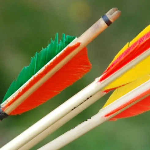 Bunte Pfeile mit unterschiedlichen Farben auf einem einfachen Hintergrund. Sie sind bereit für den Einsatz im Bogenschießen.