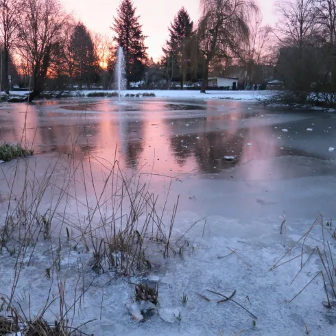 Morgenstimmung im WInter - Spiegelbachpark