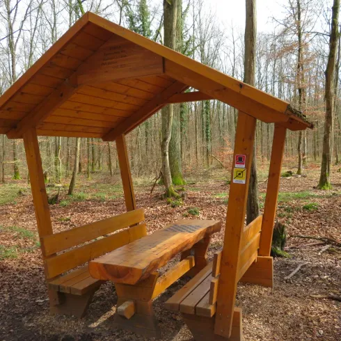Eine Picknickplatz mit einer Bank und einem Tisch im Bellheimer Wald. Die Umgebung besteht aus Laubbäumen und frischem Grün.
