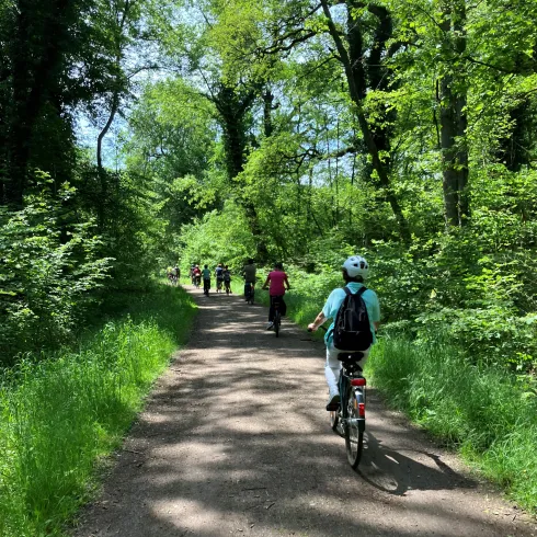 Geführte Radtour Mühlen - Radgruppe im  Wald