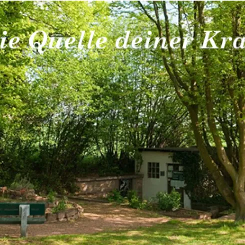 Abendmeditation an der Selzquelle in Orbis