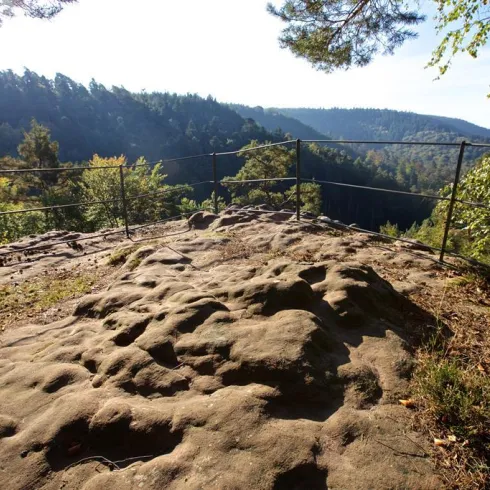 Eine felsige Aussichtsplattform umgeben von Bäumen. Im Hintergrund sind bewaldete Hügel und ein klarer Himmel sichtbar.
