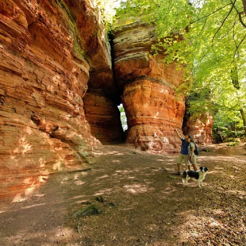 Altschlossfelsen bei Eppenbrunn