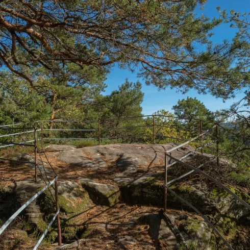 Eine Felsplatte in einem Waldgebiet, umgeben von Bäumen und mit einem Geländer gesichert. Der Himmel ist klar und blau, was eine ruhige Atmosphäre schafft.