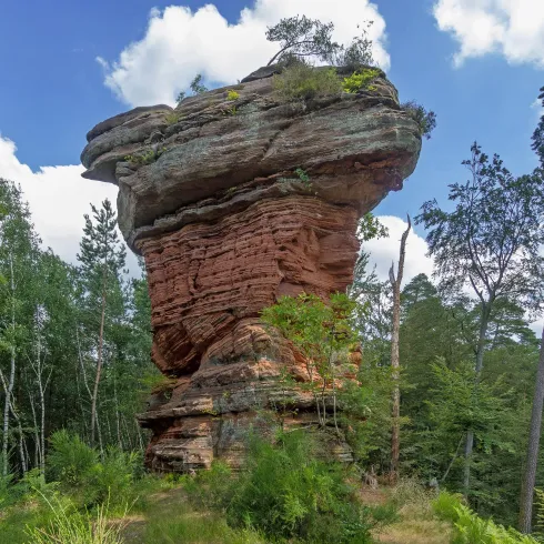 Ein beeindruckender Felsen steht inmitten eines Waldgebiets. Umgeben von Bäumen unter einem teilweise bewölkten Himmel.