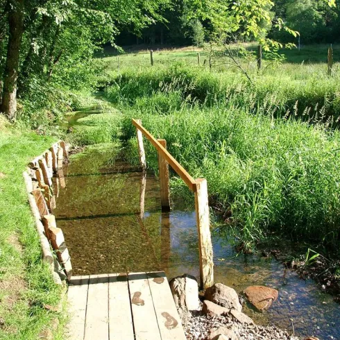 Ein ruhiger Bach fließt durch eine grüne Wiese. Eine kleine Holzbrücke verbindet die beiden Ufer.