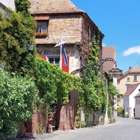 Eine malerische Straße in einem historischen Dorf, umgeben von grünen Pflanzen und alten Gebäuden. Der Himmel ist blau und klar, was für eine angenehme Atmosphäre sorgt.
