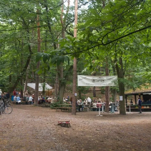 Thomas Waldweinstube 1