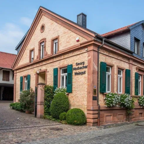 Weingut Georg Mosbacher 1 (© Weingut Georg Mosbacher)