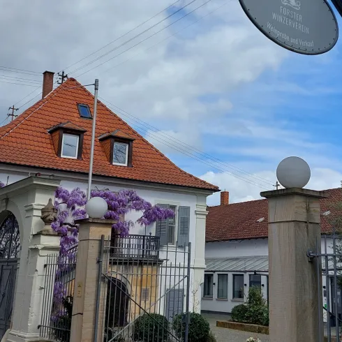 Eine Straßenansicht von dem Winzerverein Forst 