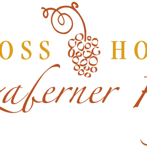 Schlosshotel Bergzaberner Hof