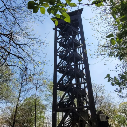 Ein hölzerner Aussichtsturm umgeben von Bäumen. Der Himmel ist blau und klar.