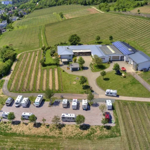 Eine große Weinregion mit einem modernen Gebäude und mehreren Wohnmobilen auf einem Parkplatz. Umgeben von grünen Weinreben und einer ruhigen Landschaft.