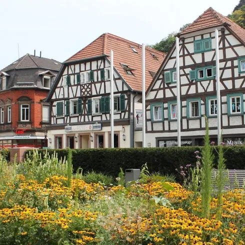 Eine malerische Straße mit traditionellen Fachwerkhäusern. Im Vordergrund blühen bunte Blumen in einem schönen Garten.