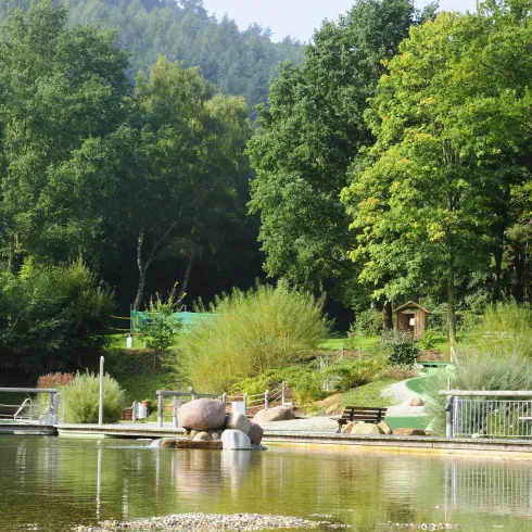 Ein ruhiger Teich umgeben von Bäumen und Sträuchern. Im Hintergrund sind Sitzbänke und eine kleine Landschaftsgestaltung zu sehen.