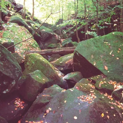 Eine felsige Landschaft mit großen, moosbedeckten Steinen. Umgeben von Bäumen und herbstlichen Blättern.