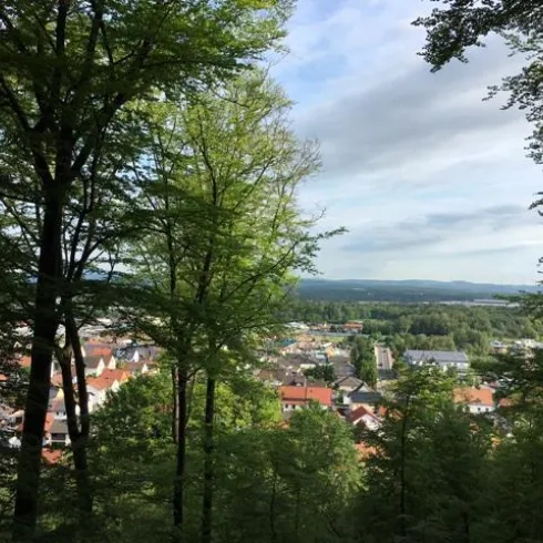Ein malerischer Blick auf eine Stadt, umgeben von Wäldern und sanften Hügeln. Im Hintergrund erstreckt sich eine weite Landschaft unter einem leicht bewölkten Himmel.