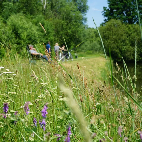 Eine grüne Wiese mit bunten Blumen und hohem Gras am Ufer eines kleinen Gewässers. Im Hintergrund sind Menschen zu sehen, die am Wasser sitzen und entspannen.