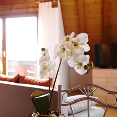 Ein gemütliches Wohnzimmer mit einer grauen Couch und einem Fernseher. Auf dem Tisch steht eine elegante Orchidee in einem Topf.