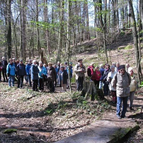 Eine Gruppe von Wanderern steht in einem Wald. Die Bäume sind grün und es gibt frisches Laub auf dem Boden.