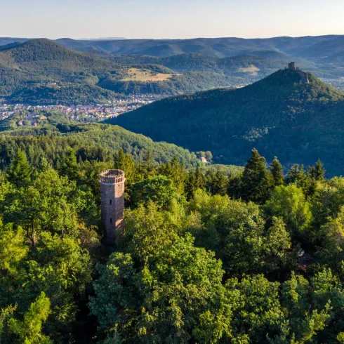 Rehbergturm (© Verein SÜW Annweiler e.V., Fotograf: Dominik Ketz)