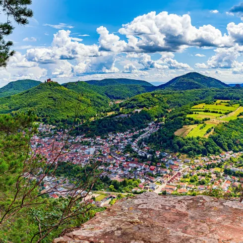 Sommerfelsen Trifelsblick (© Wohlrabe Quadronet, Verein SÜW Annweiler e.V.)