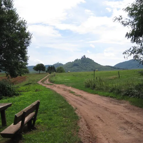 Ein schmaler Weg durch eine grüne Landschaft mit einem Hügel im Hintergrund. Auf der linken Seite sind eine Bank und einige Bäume zu sehen.