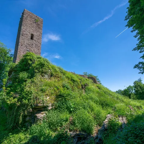 Scharfenberg (© Dirk Weber, Verein SÜW Annweiler e.V.)