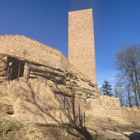 Eine alte Burgruine aus rotem Stein mit einem hohen Turm. Im Hintergrund sind Bäume und ein klarer blauer Himmel sichtbar.