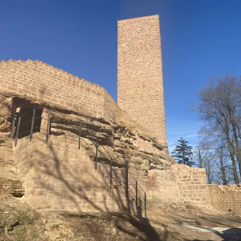 Burgruine Scharfenberg (© Verein Südliche Weinstrasse Annweiler am Trifels)