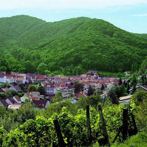 Ein malerisches Dorf umgeben von sanften Hügeln und dichten Wäldern. Die Häuser sind in harmonischen Farben gehalten und die Landschaft ist grün und einladend.