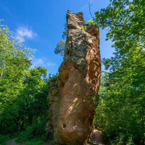 Ein hoher, auffälliger Felsen steht zwischen dichtem Grün. Der blaue Himmel sorgt für eine sonnige Atmosphäre.