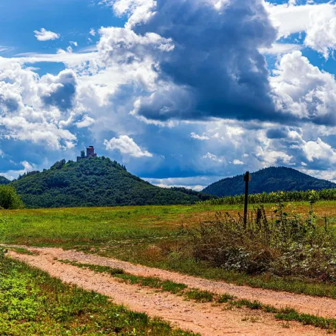 Dreißig Trifelsblick (© Wohlrabe Quadronet, Verein SÜW Annweiler e.V.)