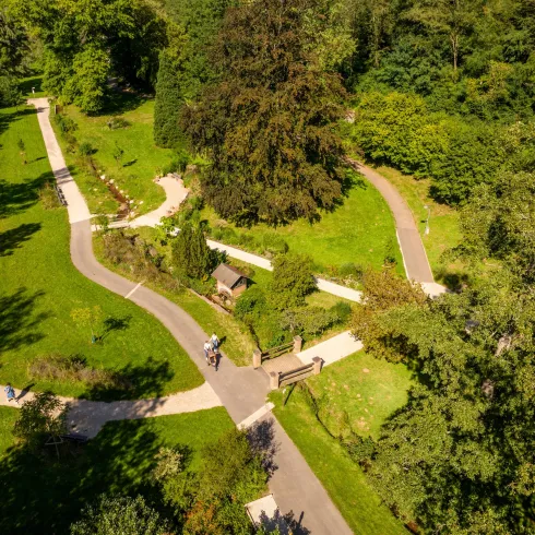 Ein schöner Park mit geschwungenen Wegen und vielen Bäumen. Menschen genießen die Natur und spazieren auf den Pfaden.