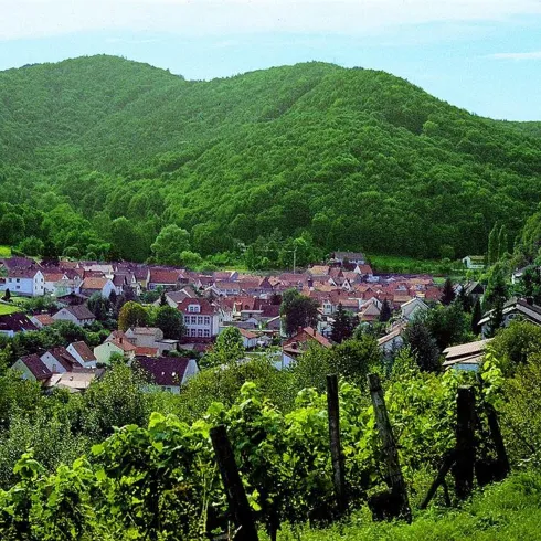 Gräfenhausen (© Verein SÜW Annweiler e.V.)