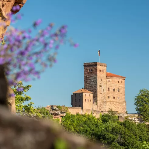Trifels (© Archiv Verein SÜW Annweiler; Dominik Ketz)