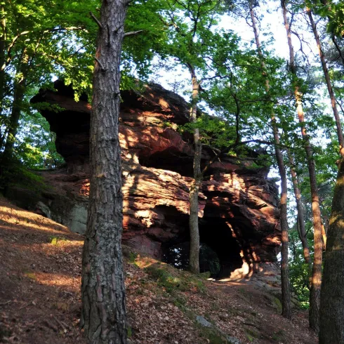 Sommerfelsen (© Axel Brachat)