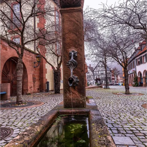 Brunnen am Rathaus (© Stadt Annweiler am Trifels)
