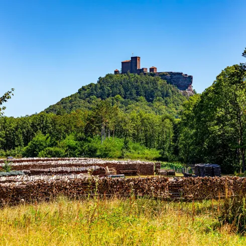 Bannenbergplateau (© Wohlrabe Quadronet, Verein SÜW Annweiler e.V.)